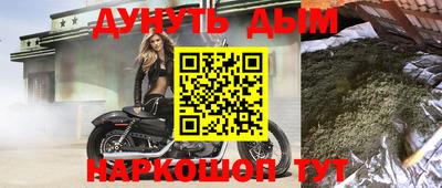 apvp Кингисепп