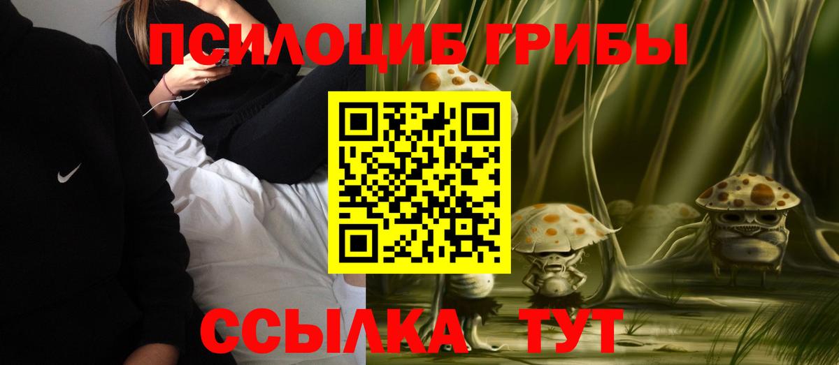 Галлюциногенные грибы GOLDEN TEACHER  Вход с VPN  Куйбышев 