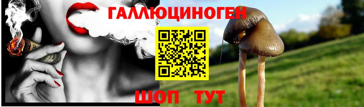 Псилоцибиновые грибы MAGIC MUSHROOMS Куйбышев